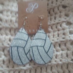 Silver Teardrop Earrings